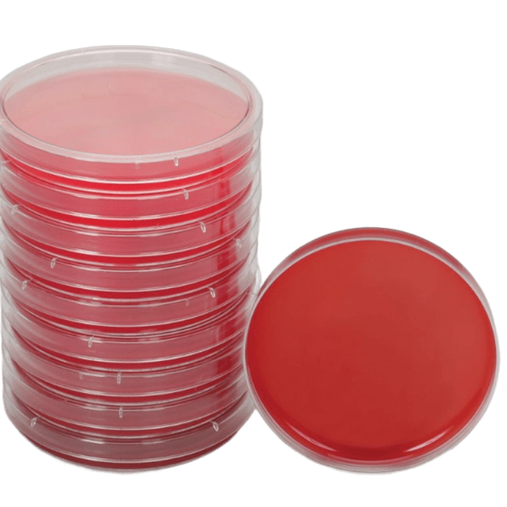 Agar Muller Hinton Agar Muller Hinton