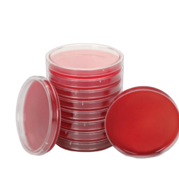 Agar Sangre Cordero T.S.A