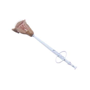 Diu Gold T Normal Diu Gold T Normal