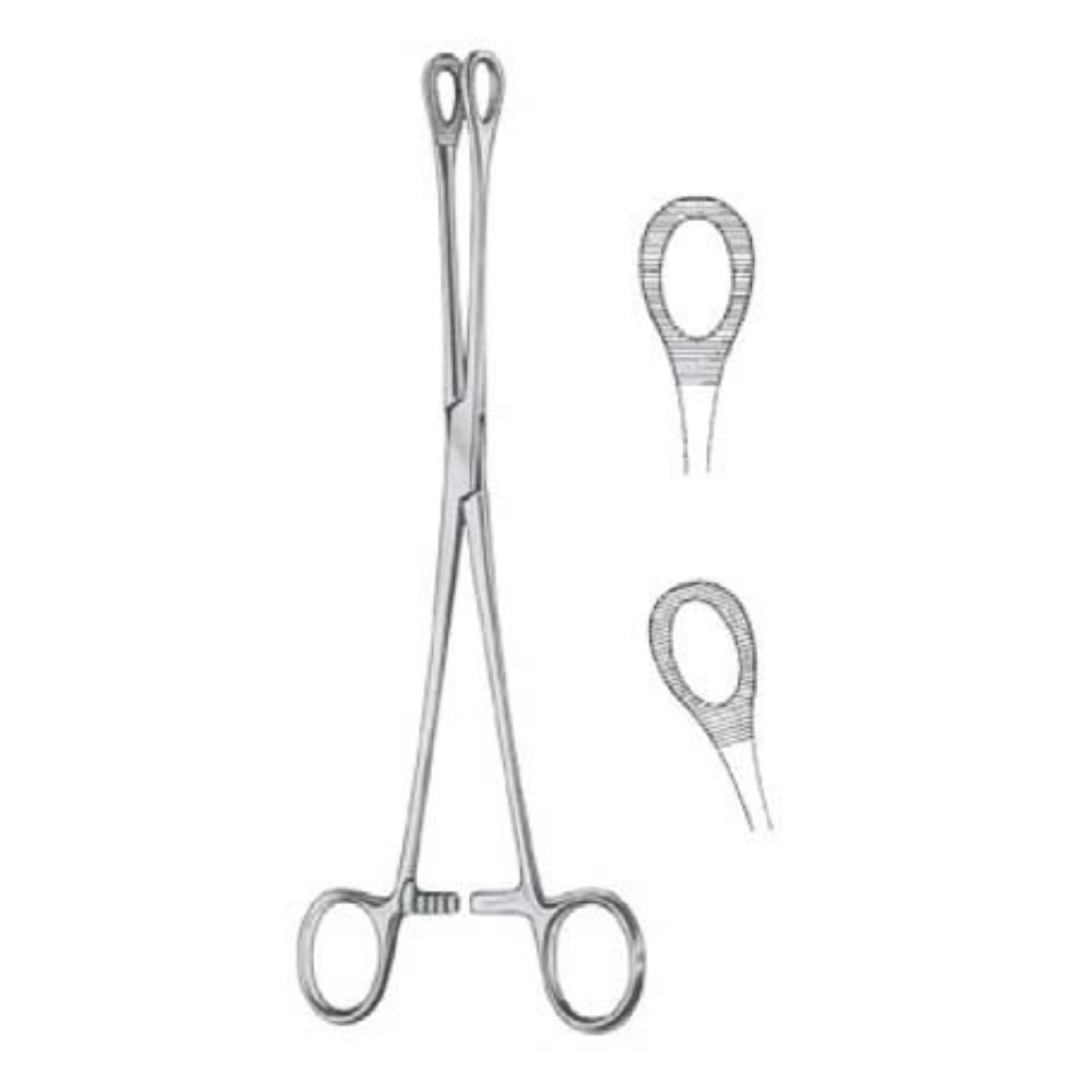 Pinza Foerster Recta Pinza Foerster Recta